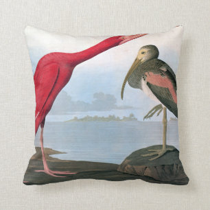 Audubon: Scharlachrot IBIS Kissen