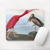 Audubon Scharlachrot IBIS Mausunterlage- Mousepad (Mit Mouse)
