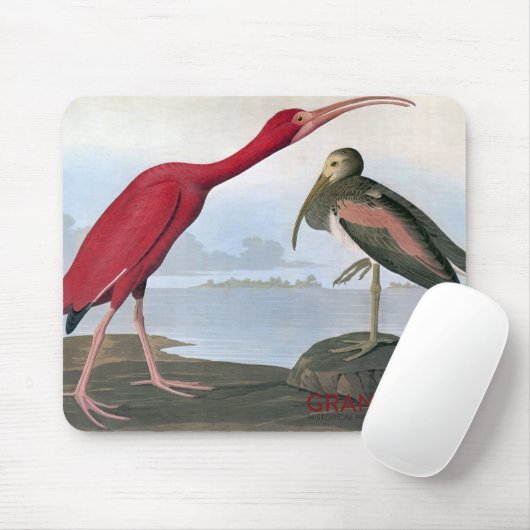 Audubon Scharlachrot IBIS Mausunterlage- Mousepad (Mit Mouse)