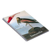 Audubon: Scharlachrot IBIS Notizblock (Rechte Seite)