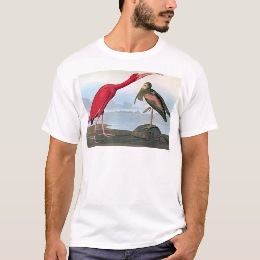 Audubon: Scharlachrot IBIS T-Shirt (Vorderseite)