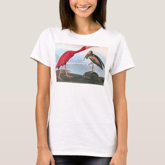 Audubon: Scharlachrot IBIS T-Shirt (Vorderseite)