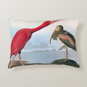 Audubon: Scharlachrot IBIS Zierkissen