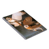Audubon: Schleiereule Notizblock (Rechte Seite)