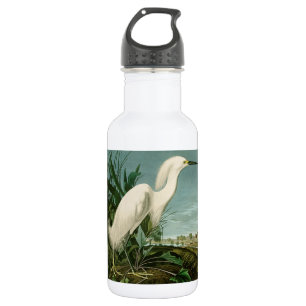 Audubon Schneeregenpfeifer Weißer Reiher Vogel Vog Edelstahlflasche