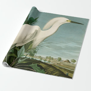 Audubon Schneeregenpfeifer Weißer Reiher Vogel Vog Geschenkpapier