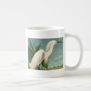 Audubon Schneeregenpfeifer Weißer Reiher Vogel Vog Kaffeetasse