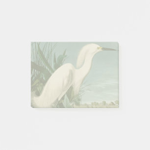 Audubon Schneereiher Weißer Reiher Vogel Vogelbeob Post-it Klebezettel