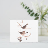 Audubon-Schneevögel Postkarte (Stehend Vorderseite)