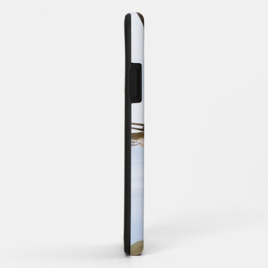 Audubon: Schwalben Case-Mate iPhone Hülle (Hinten/Rechts)