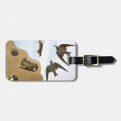 Audubon: Schwalben Gepäckanhänger (Vorderseite horizontal)