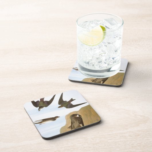 Audubon: Schwalben Getränkeuntersetzer (Rechte Seite)