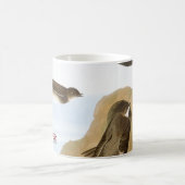 Audubon: Schwalben Kaffeetasse (Mittel)