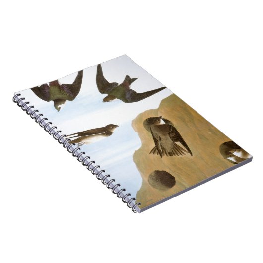 Audubon: Schwalben Notizblock (Rechte Seite)