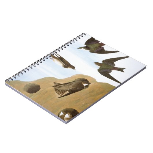 Audubon: Schwalben Notizblock (Linke Seite)