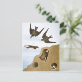 Audubon: Schwalben Postkarte (Stehend Vorderseite)