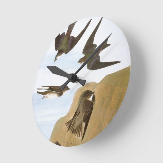 Audubon: Schwalben Runde Wanduhr (Winkel)