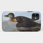 Audubon: Schwarze Ente Case-Mate iPhone Hülle (Rückseite (Horizontal))