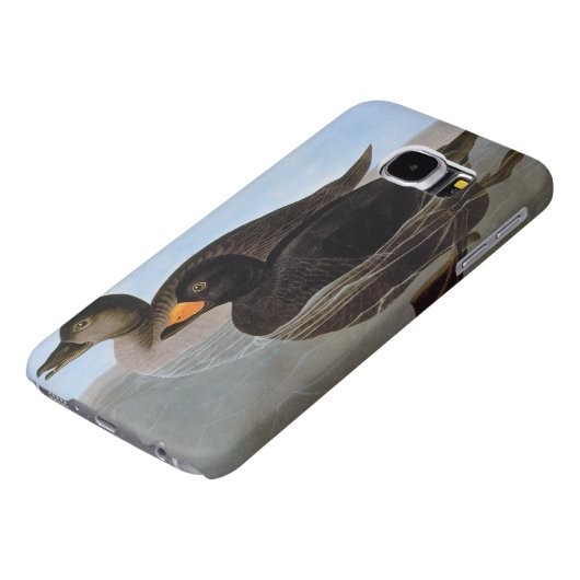 Audubon: Schwarze Ente Case-Mate Samsung Galaxy Hülle (oben)