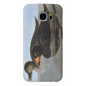 Audubon: Schwarze Ente Case-Mate Samsung Galaxy Hülle (Rückseite)