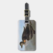 Audubon: Schwarze Ente Gepäckanhänger (Vorderseite vertikal)