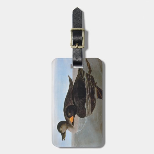 Audubon: Schwarze Ente Gepäckanhänger (Vorderseite vertikal)