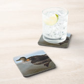 Audubon: Schwarze Ente Getränkeuntersetzer (Rechte Seite)