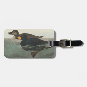 Audubon Schwarze Trauerente Druck: Vintage Küstene Gepäckanhänger