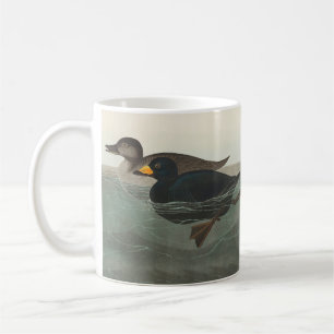Audubon Schwarze Trauerente Druck: Vintage Küstene Kaffeetasse
