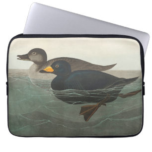 Audubon Schwarze Trauerente Druck: Vintage Küstene Laptopschutzhülle