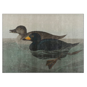 Audubon Schwarze Trauerente Druck: Vintage Küstene Schneidebrett