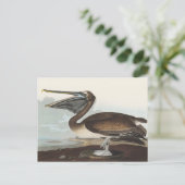 Audubon Seaside Brown Pelican Watercolor Painting Postkarte (Stehend Vorderseite)