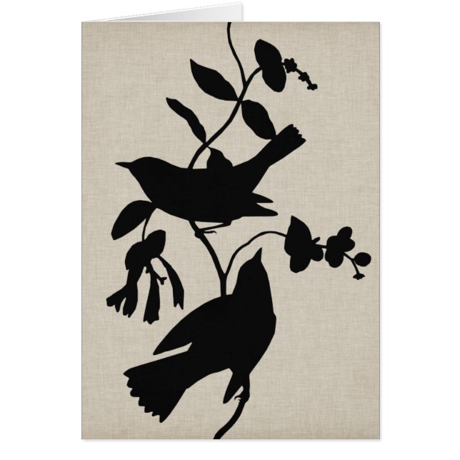 Audubon Silhouette IV (Vorne)