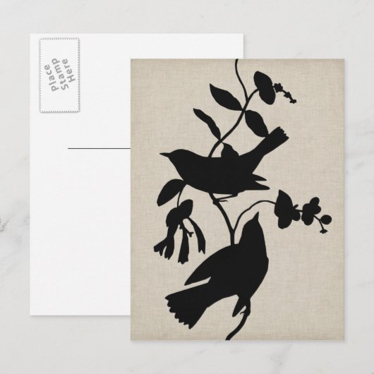 Audubon Silhouette IV Postkarte (Vorne/Hinten)