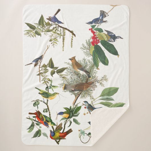 Audubon Singvogel-Vogel-Collage Sherpa Decke Sherpadecke (Vorderseite)