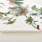 Audubon Singvogel-Vogel-Collage Sherpa Decke Sherpadecke (3/4)