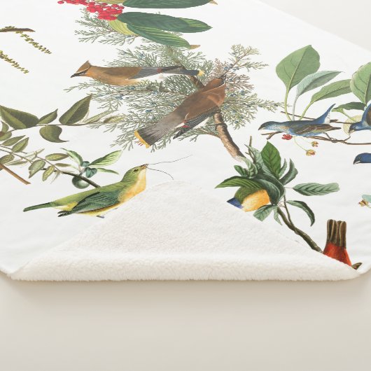 Audubon Singvogel-Vogel-Collage Sherpa Decke Sherpadecke (3/4)