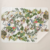 Audubon Singvogel-Vogel-wild lebende Tiere Sherpa Sherpadecke (Vorderseite (Horizontal))