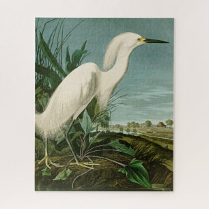 Audubon Snowy Heron White Egret Bird Puzzle
