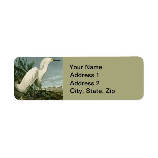 Audubon Snowy Heron White Egret Bird Vogelbeobacht (Vorne)