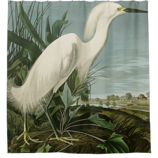 Audubon Snowy Heron White Egret Bird Vogelbeobacht Duschvorhang (Vorderseite)