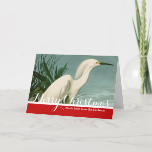 Audubon Snowy Heron White Egret Bird Vogelbeobacht Feiertagskarte