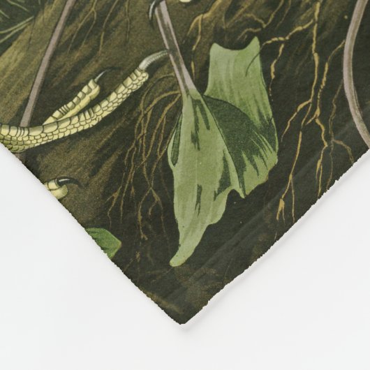 Audubon Snowy Heron White Egret Bird Vogelbeobacht Fleecedecke (Ecke)