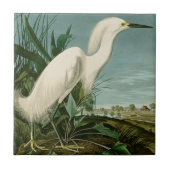 Audubon Snowy Heron White Egret Bird Vogelbeobacht Fliese (Vorderseite)