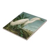 Audubon Snowy Heron White Egret Bird Vogelbeobacht Fliese (Seite)