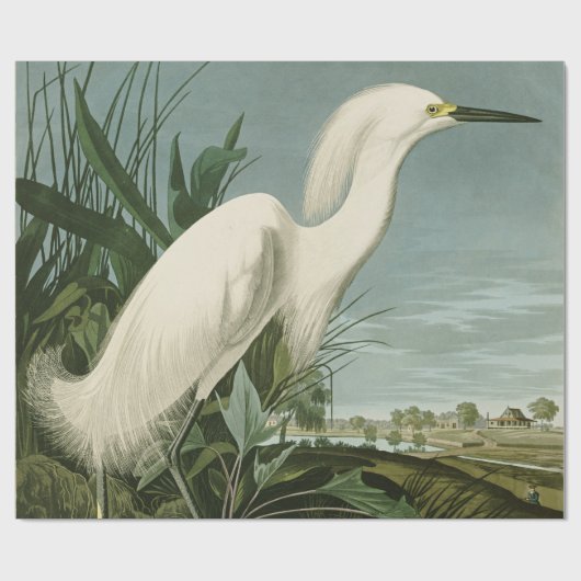 Audubon Snowy Heron White Egret Bird Vogelbeobacht Geschenkpapier (Flach)