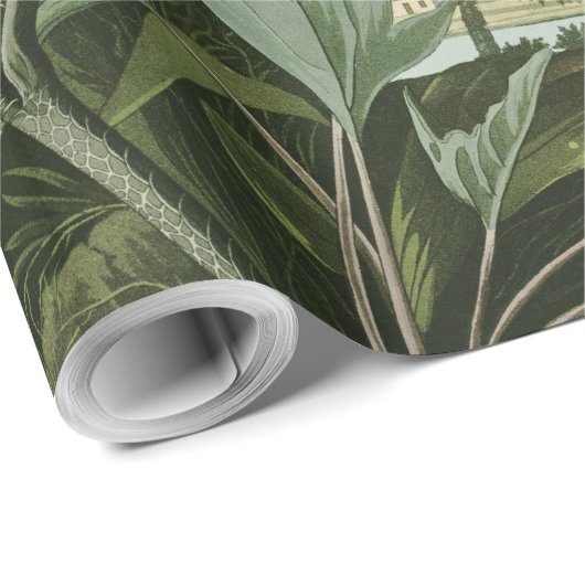 Audubon Snowy Heron White Egret Bird Vogelbeobacht Geschenkpapier (Rolleneckpunkt)