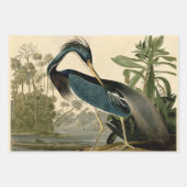 Audubon Snowy Heron White Egret Bird Vogelbeobacht Geschenkpapier Set (Vorderseite 2)