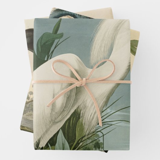 Audubon Snowy Heron White Egret Bird Vogelbeobacht Geschenkpapier Set (Beispiel)