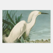 Audubon Snowy Heron White Egret Bird Vogelbeobacht Geschenkpapier Set (Vorderseite)